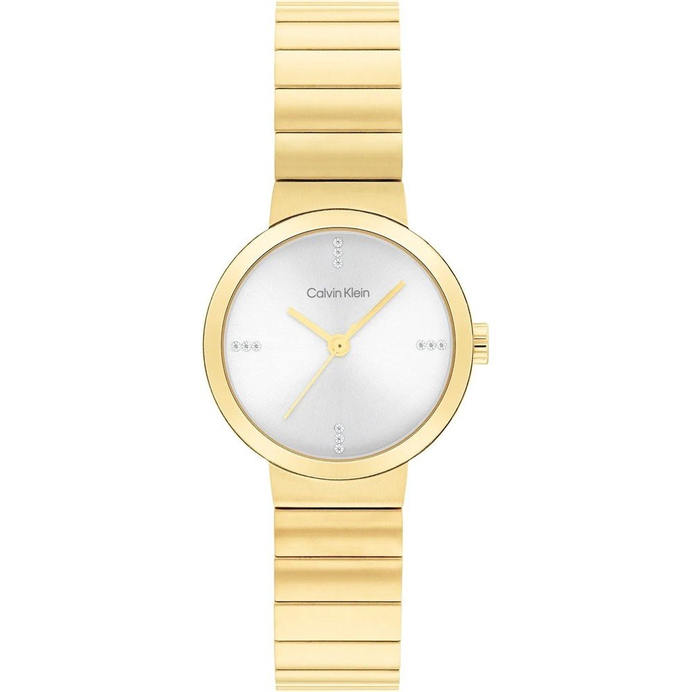 Calvin Klein 25200416 Precise Horloge