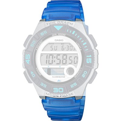 Casio 10592725 Collection Women Horlogeband