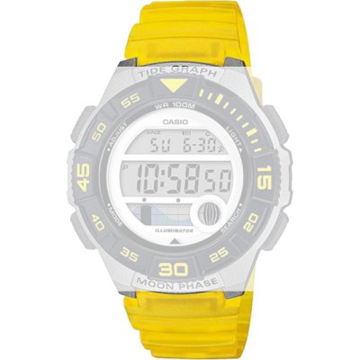 Casio 10592727 Collection Women Horlogeband