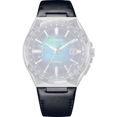 Citizen 59-004BT-01 Atessa Act Horlogeband