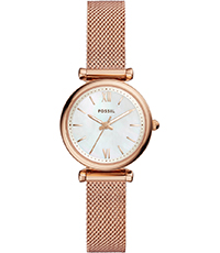 toewijzen Wennen aan Vijf Fossil Dames Horloges kopen • Gratis levering • Horloge.nl