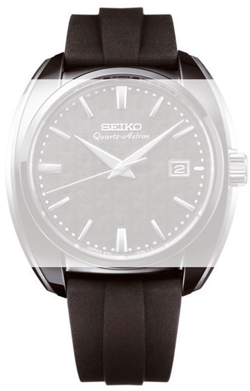 Seiko Astron straps DA421AZ Horlogeband